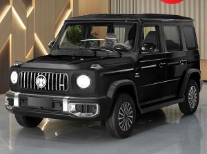 Jiayan Four Wheel Electric Vehicle New Energy